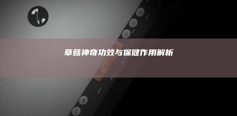 草菇：神奇功效与保健作用解析